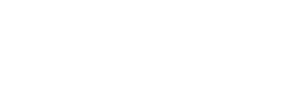 Access Michigan Rev Horizontal